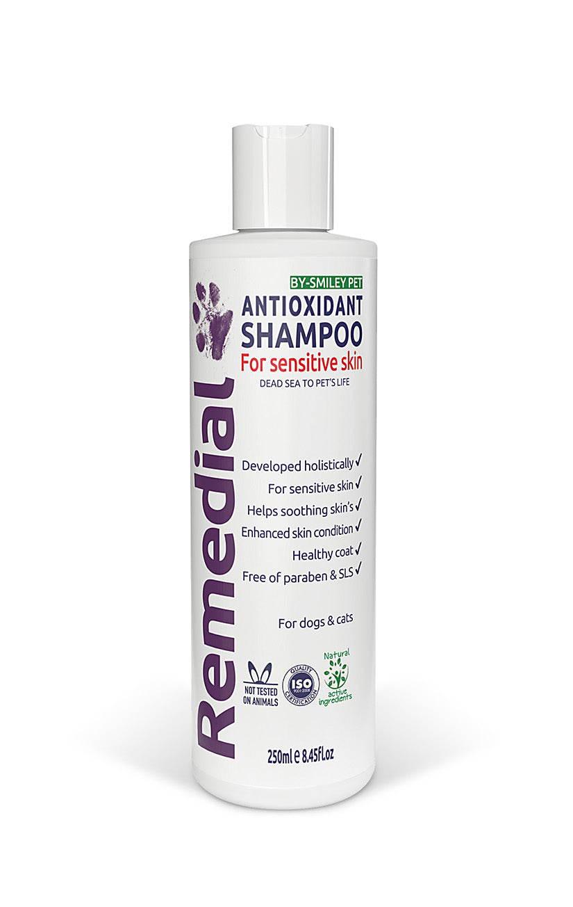 Remedial - Antioxidantien-Shampoo