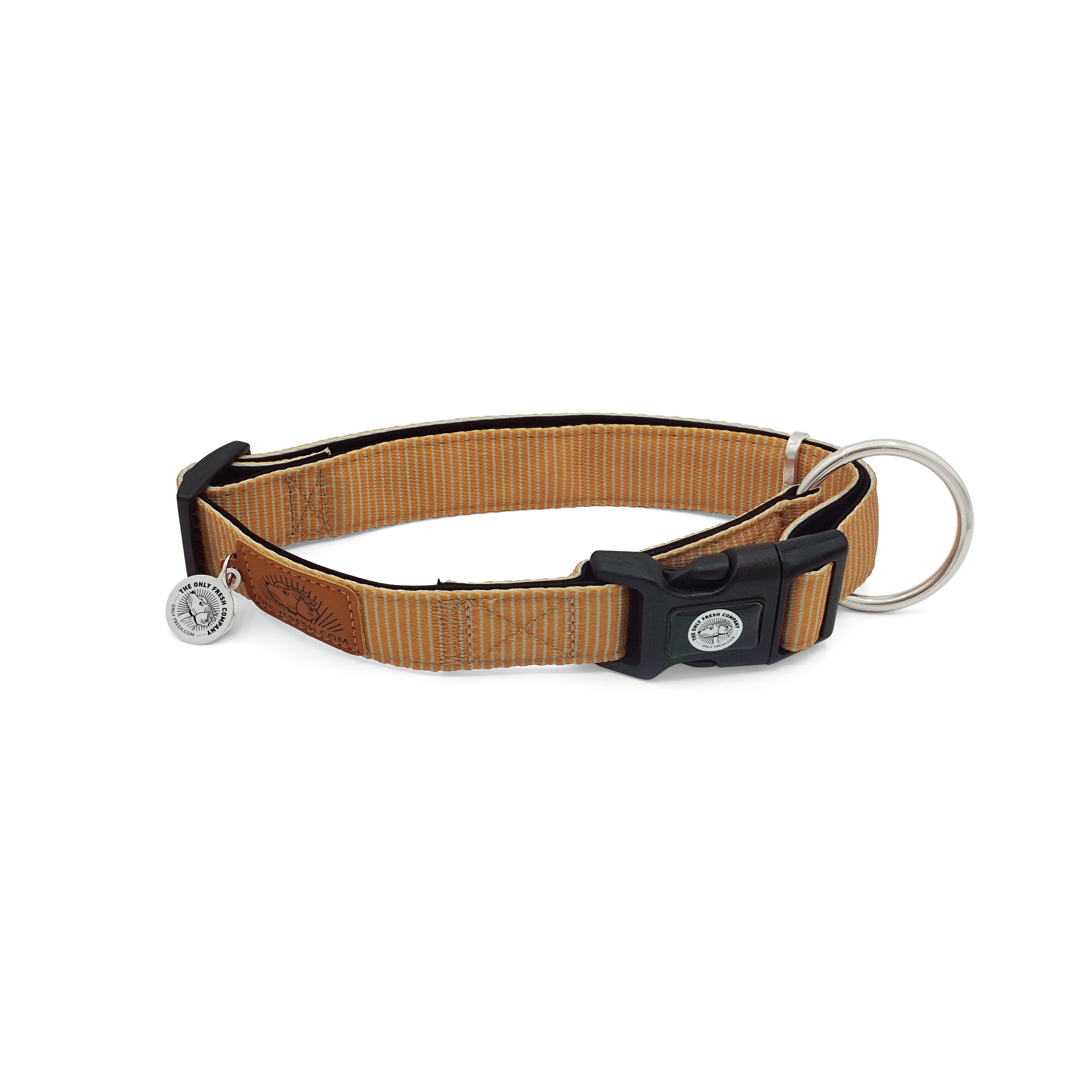 Onlyfresh - Collar para perros ajustable - Neopreno y poliester