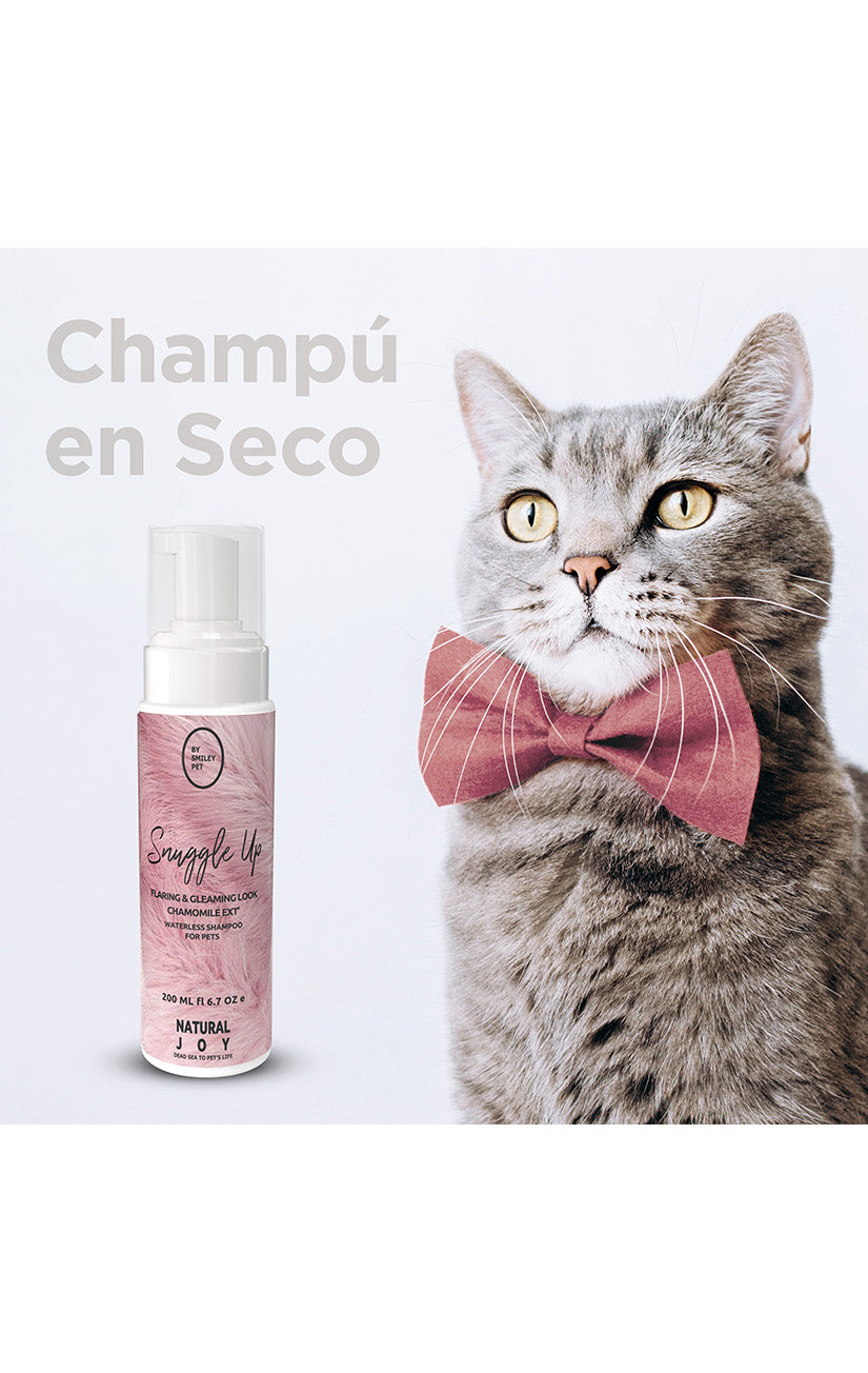 Snuggle Up - Champú en seco