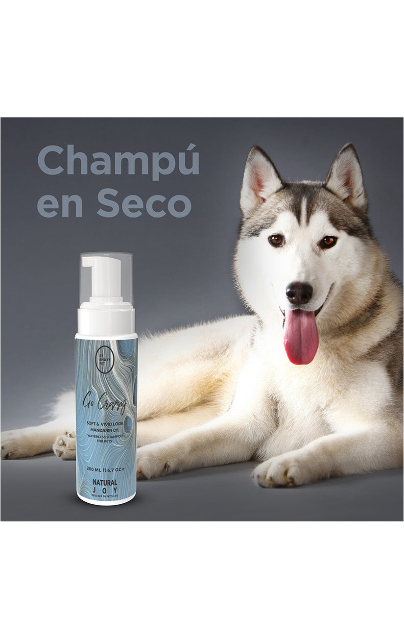 Go Crazy - Champú en seco