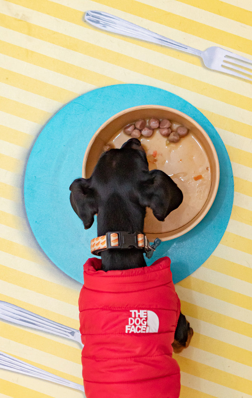 Albóndigas para perros