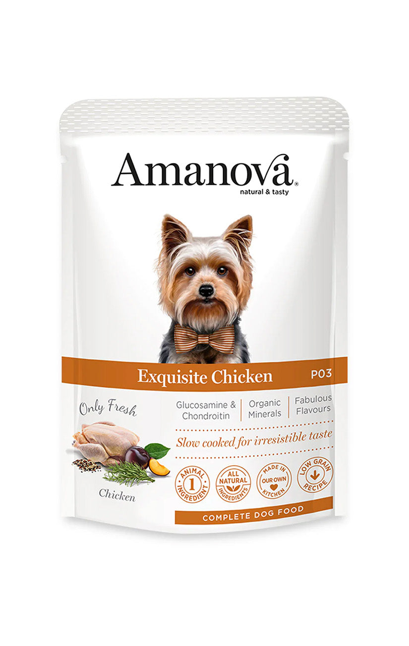 P03 Adult Hund - Frisches Huhn - Nassfutter