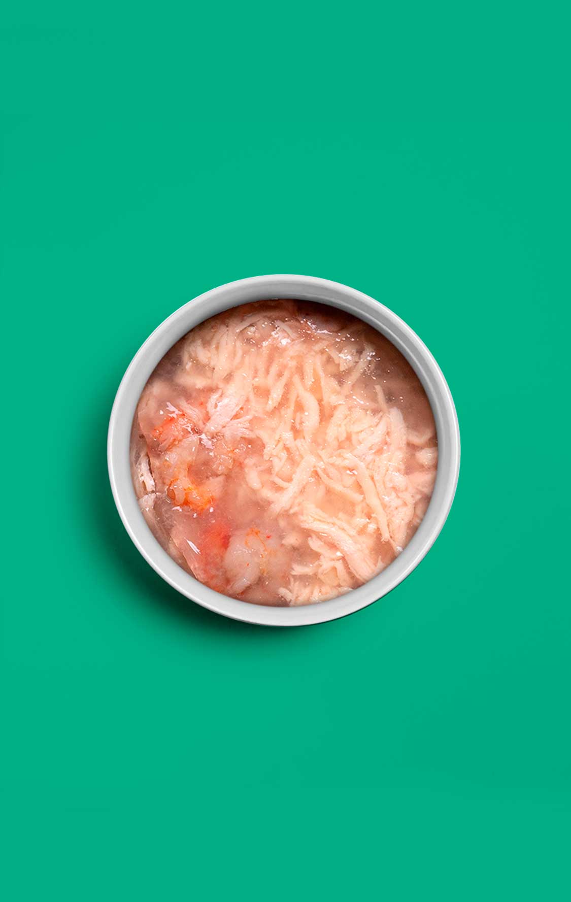 06 In jelly - Chicken & Shrimps - 70g