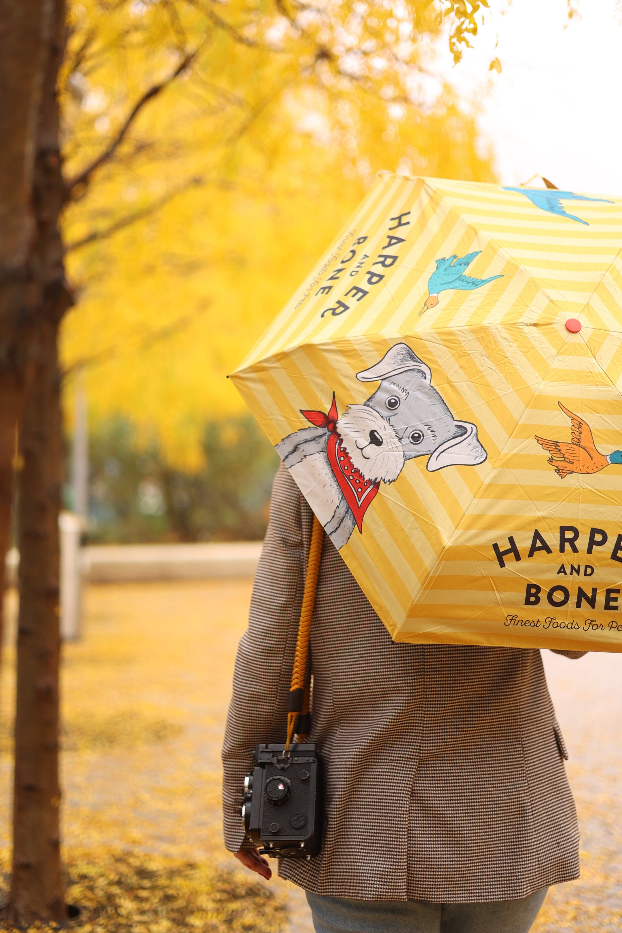 Harper & Bone - Regenschirm