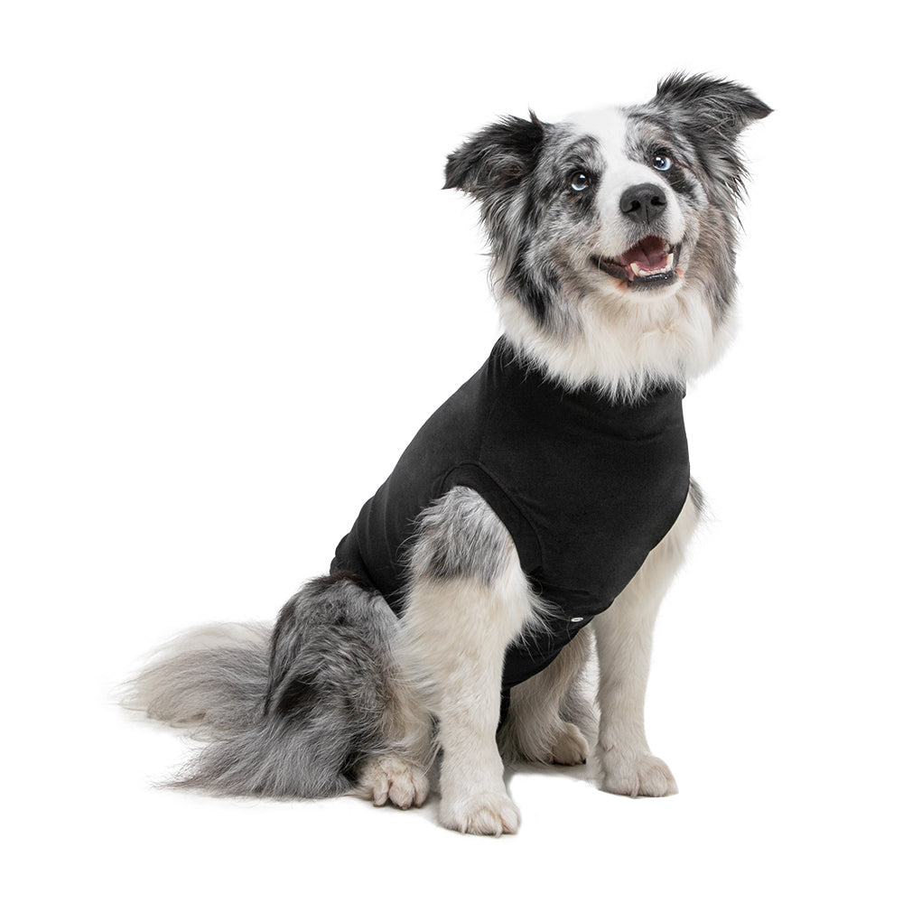 Recovery Suit® Hund - Erholungs-T-Shirt für Hunde - Schwarze Farbe