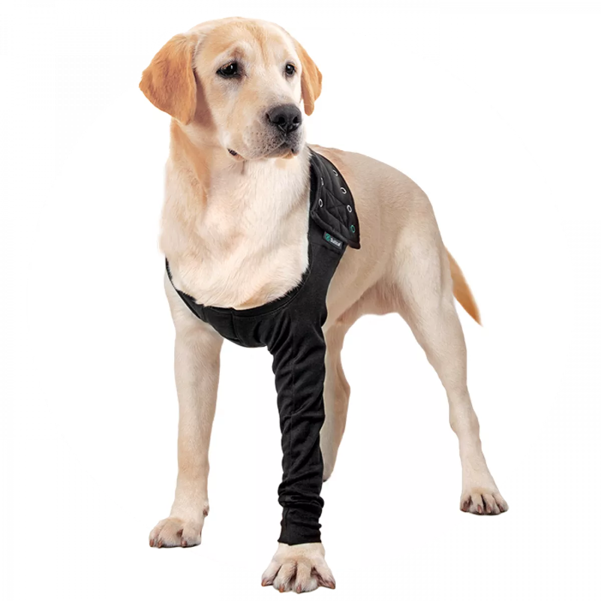 Recovery Sleeve(S)® Dog - Erholungsärmel - Schwarz